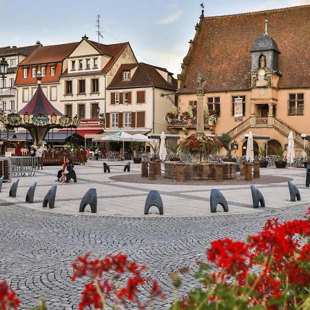 Studio Cosy A Molsheim Calme, Centre-Ville Et Acces Strasbourg Exterior foto