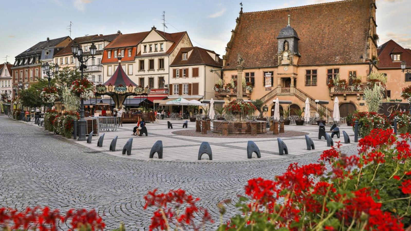 Studio Cosy A Molsheim Calme, Centre-Ville Et Acces Strasbourg Exterior foto